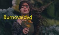 Burnova(dvd蓝光刻录软件) 1.3.52 破解版